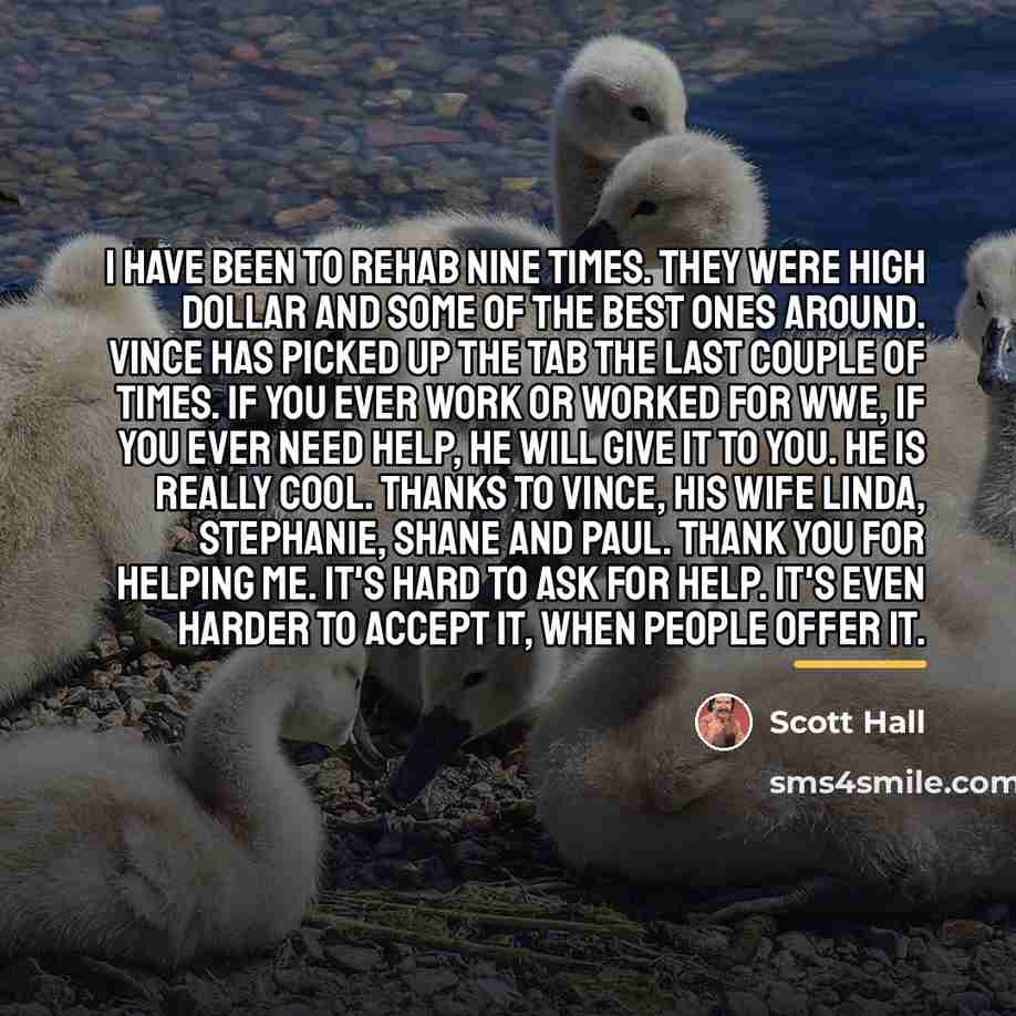 “I have been to rehab nine times. They were high…” quote by Scott Hall