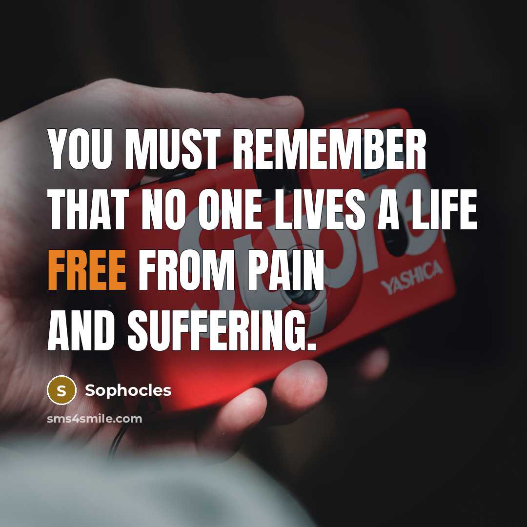 “You must remember that no one lives a life free…” quote by Sophocles