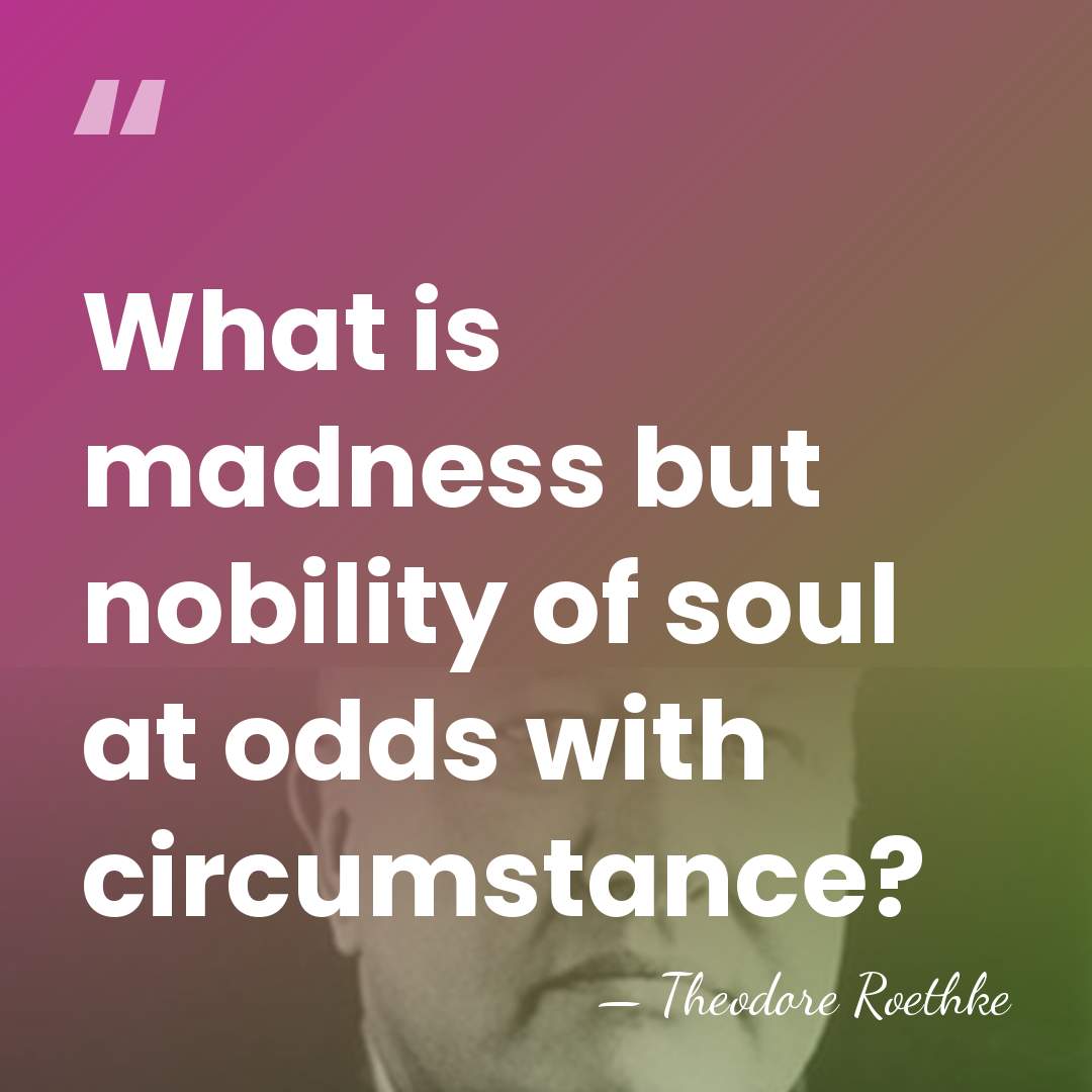 What is madness but nobility of soul at odds with circumstance? - Theodore Roethke