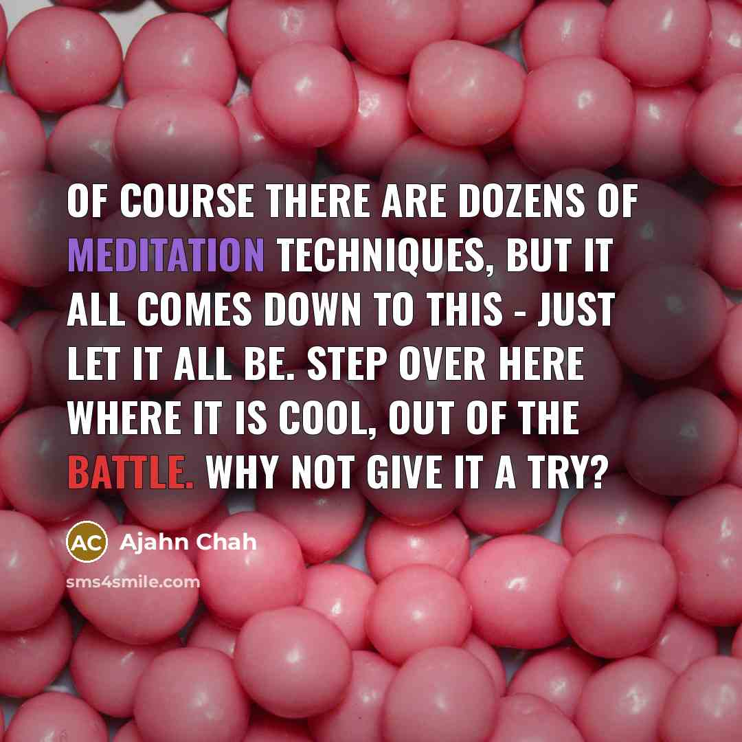 “Of course there are dozens of meditation techniques, but it…” quote by Ajahn Chah