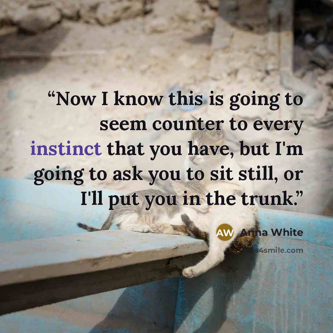 “Now I know this is going to seem counter to every instinct that you have, but I'm going to ask you to sit still, or I'll put you in the trunk.” quote by Anna White