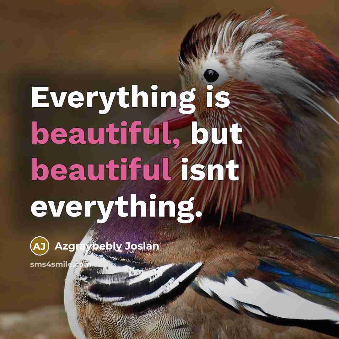 “Everything is beautiful, but beautiful isnt everything.” quote by Azgraybebly Joslan