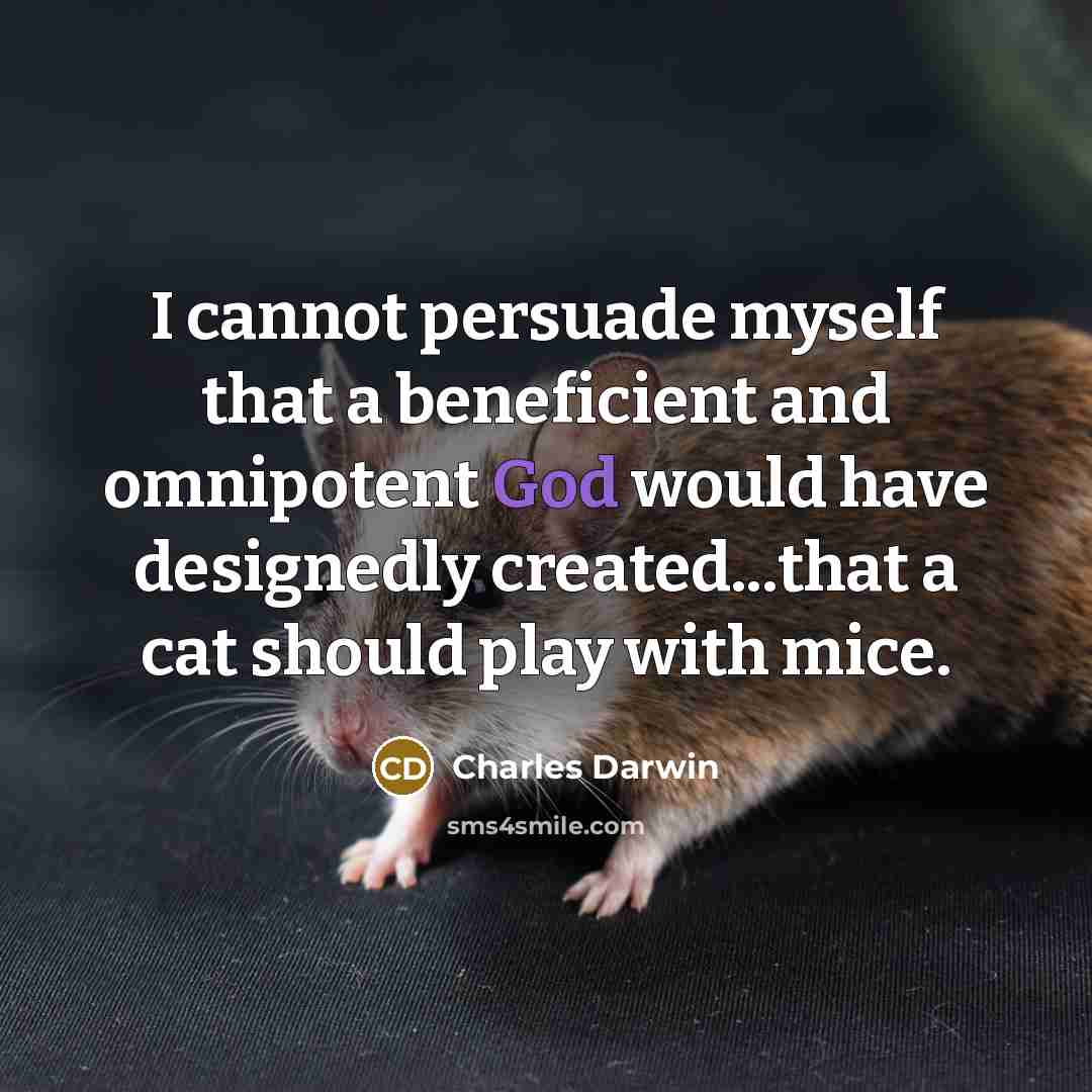 “I cannot persuade myself that a beneficient and omnipotent God…” quote by Charles Darwin
