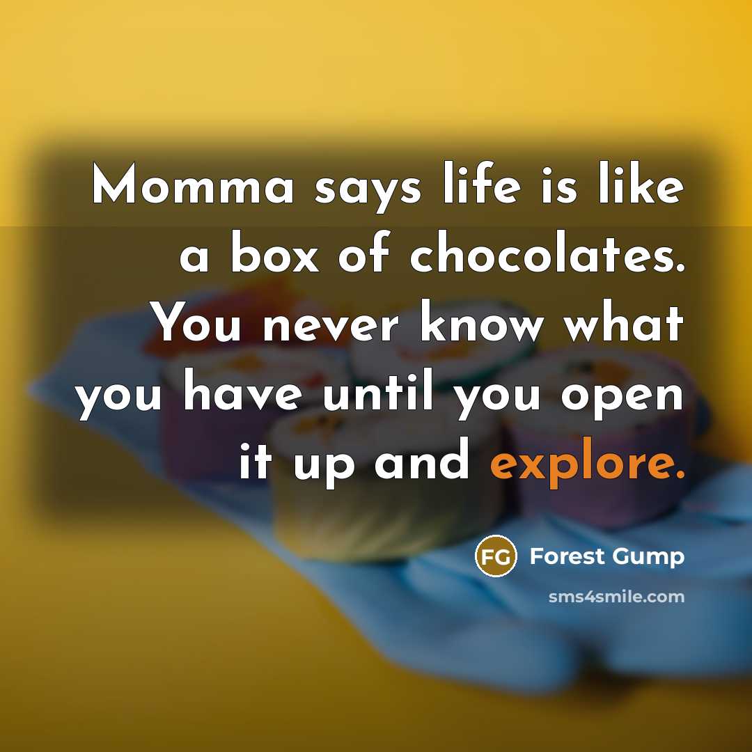 “Momma says life is like a box of chocolates. You…” quote by Forest Gump