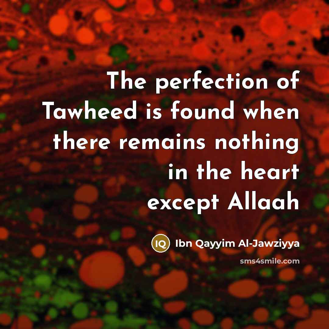 “The perfection of Tawheed is found when there remains nothing…” quote by Ibn Qayyim Al-Jawziyya