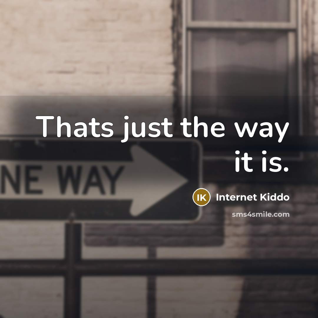 “Thats just the way it is.” quote by Internet Kiddo