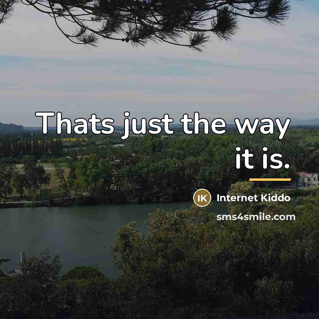 “Thats just the way it is.…” quote by Internet Kiddo