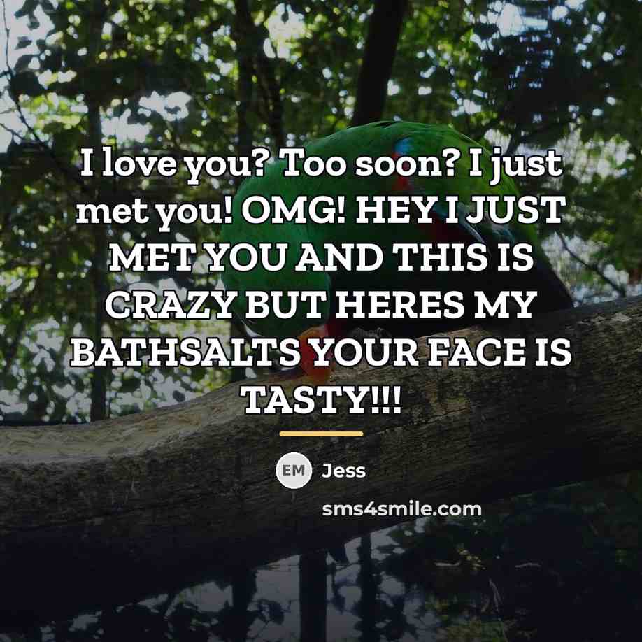 “I love you? Too soon? I just met you! OMG!…” quote by Jess