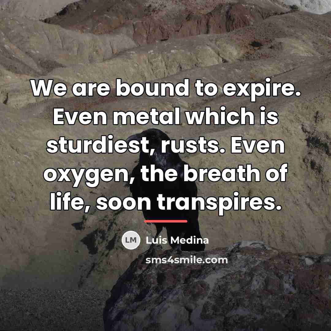 “We are bound to expire. Even metal which is sturdiest,…” quote by Luis Medina