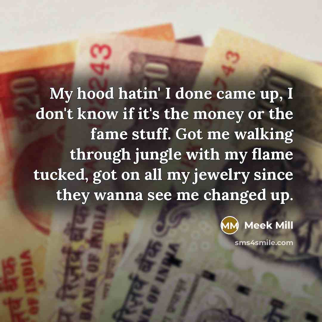 “My hood hatin' I done came up, I don't know…” quote by Meek Mill