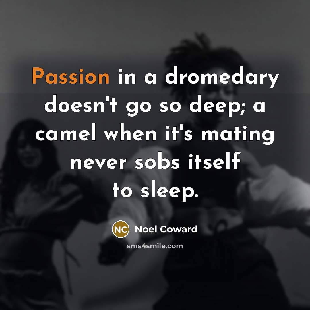 “Passion in a dromedary doesn't go so deep; a camel…” quote by Noel Coward