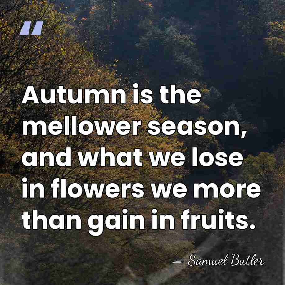 Autumn is the mellower season, and what we lose in flowers we&hellip; - Samuel Butler