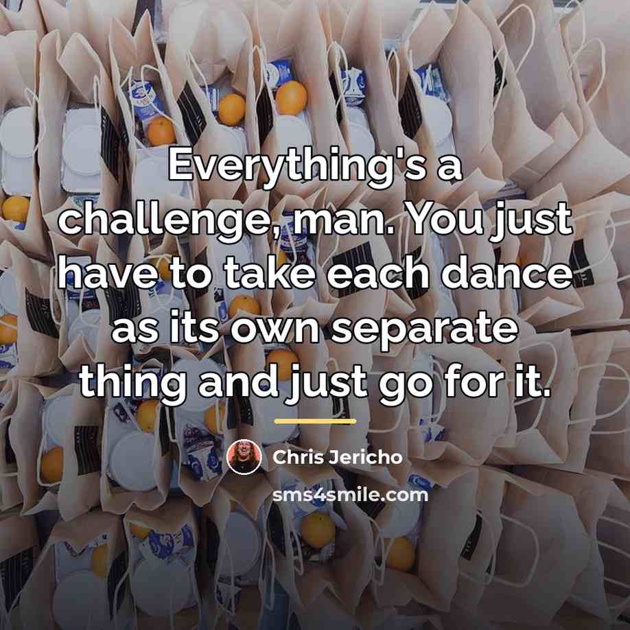 “Everything's a challenge, man. You just have to take each…” quote by Chris Jericho