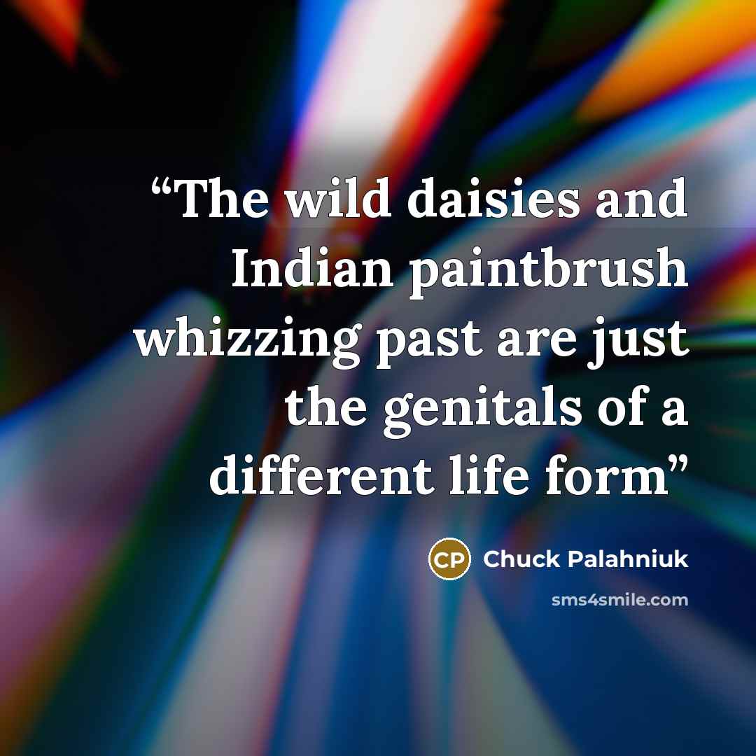 “The wild daisies and Indian paintbrush whizzing past are just the genitals of a different life form” quote by Chuck Palahniuk