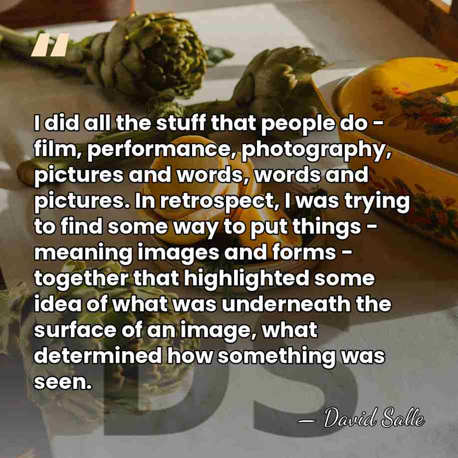 I did all the stuff that people do - film, performance, photography,&hellip; - David Salle