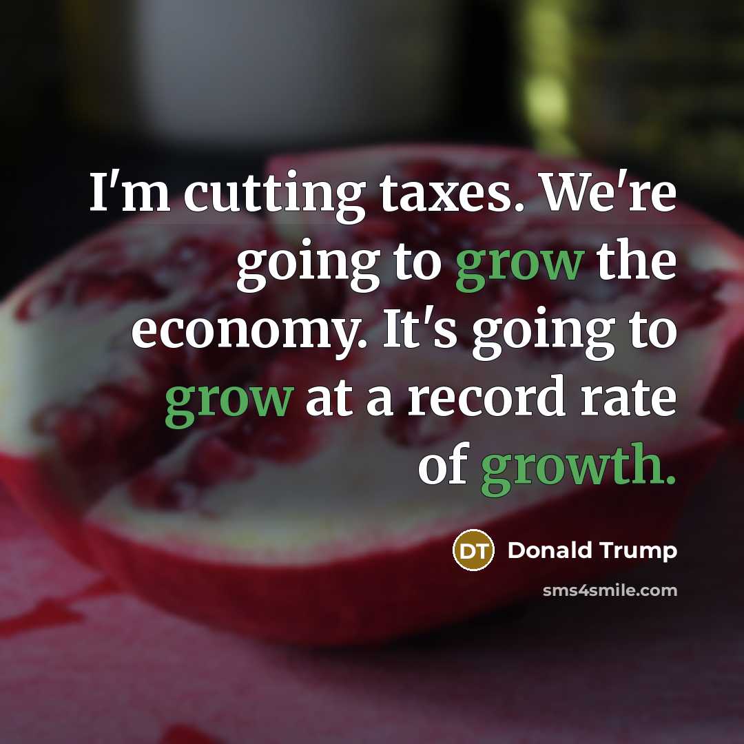 “I'm cutting taxes. We're going to grow the economy. It's…” quote by Donald Trump