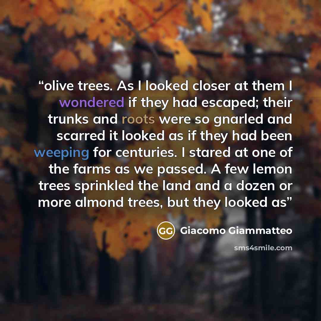 “olive trees. As I looked closer at them I wondered if they had escaped; their trunks and roots were so gnarled and scarred it looked as if they had been weeping for centuries. I stared at one of the farms as we passed. A few lemon trees sprinkled the land and a dozen or more almond trees, but they…” quote by Giacomo Giammatteo
