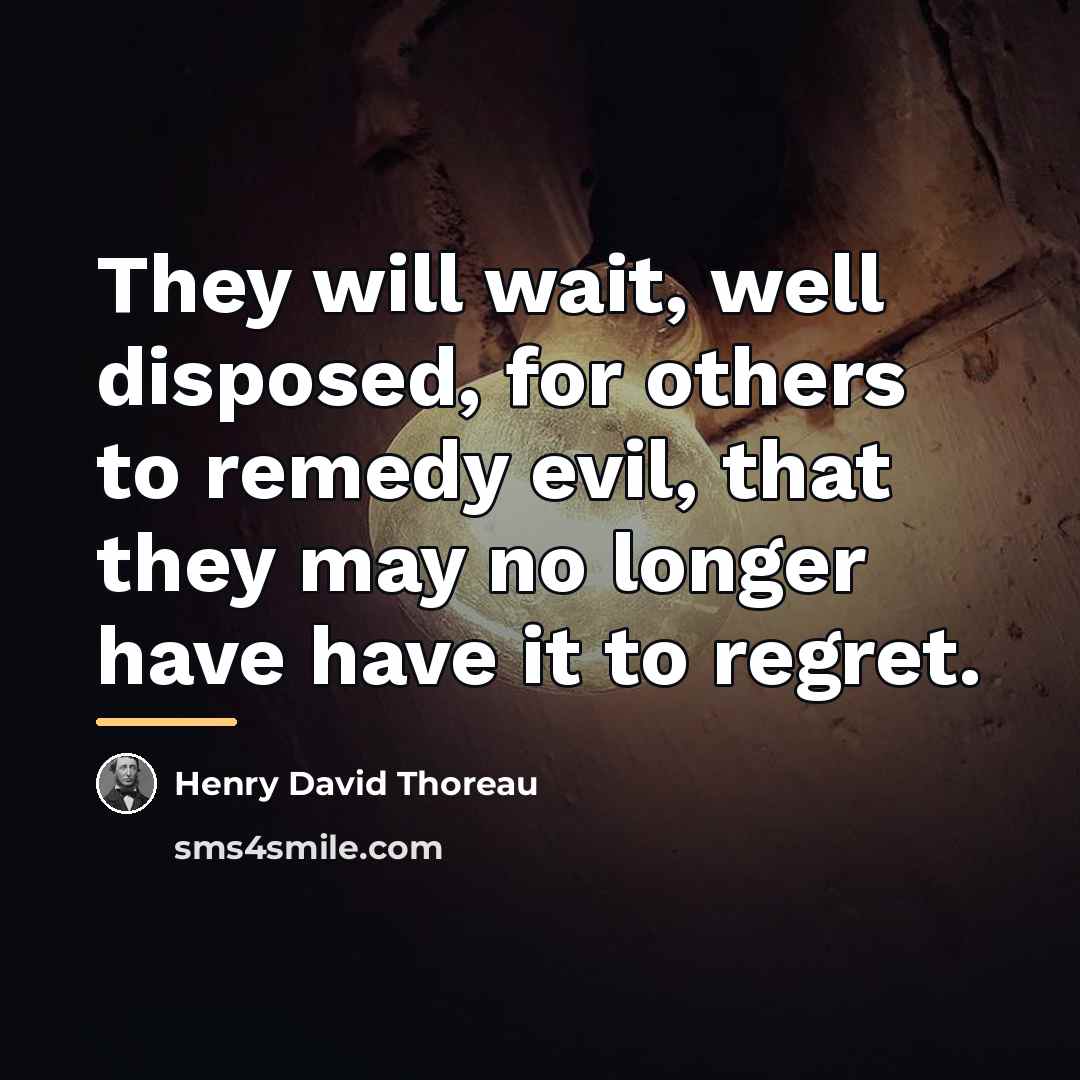 “They will wait, well disposed, for others to remedy evil,…” quote by Henry David Thoreau
