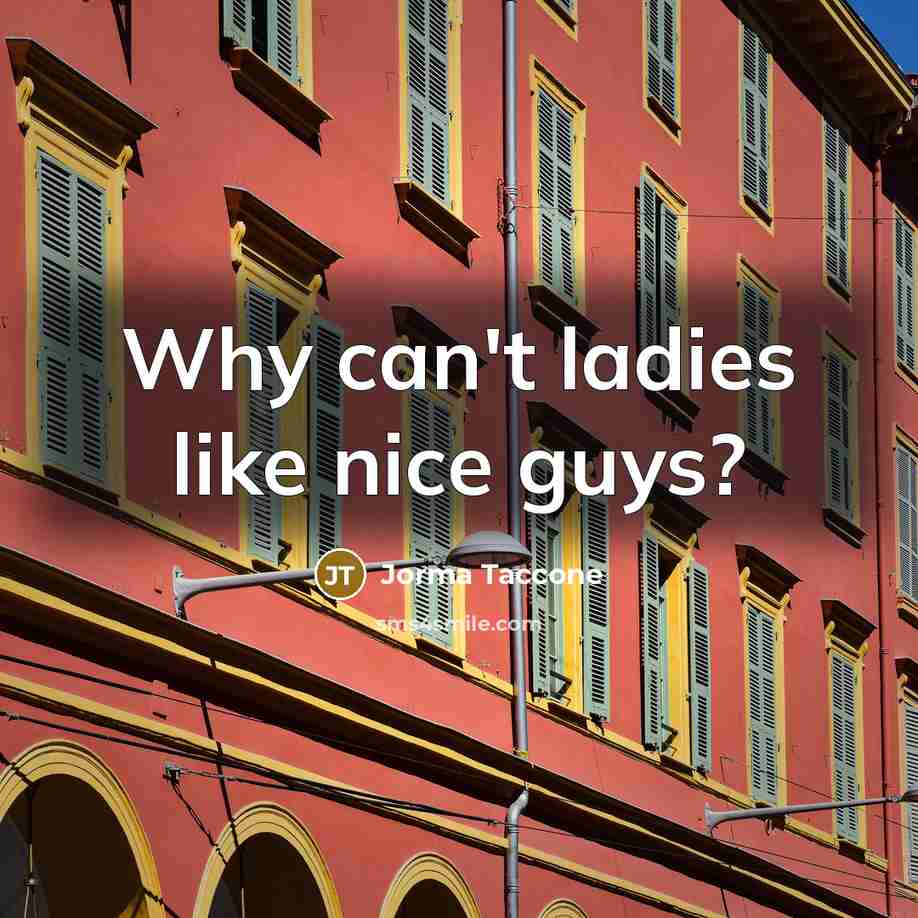 “Why can't ladies like nice guys?…” quote by Jorma Taccone