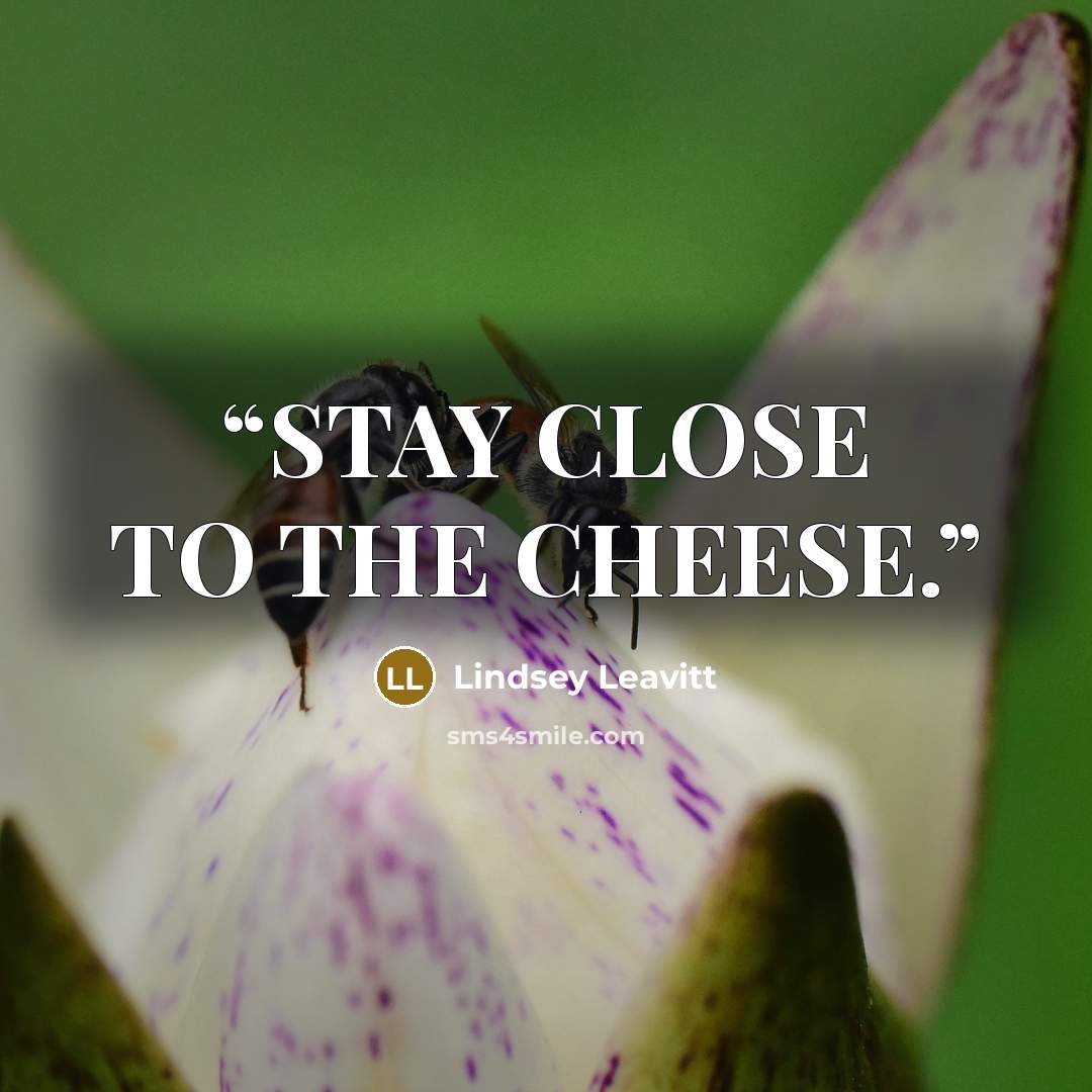 “STAY CLOSE TO THE CHEESE.” quote by Lindsey Leavitt