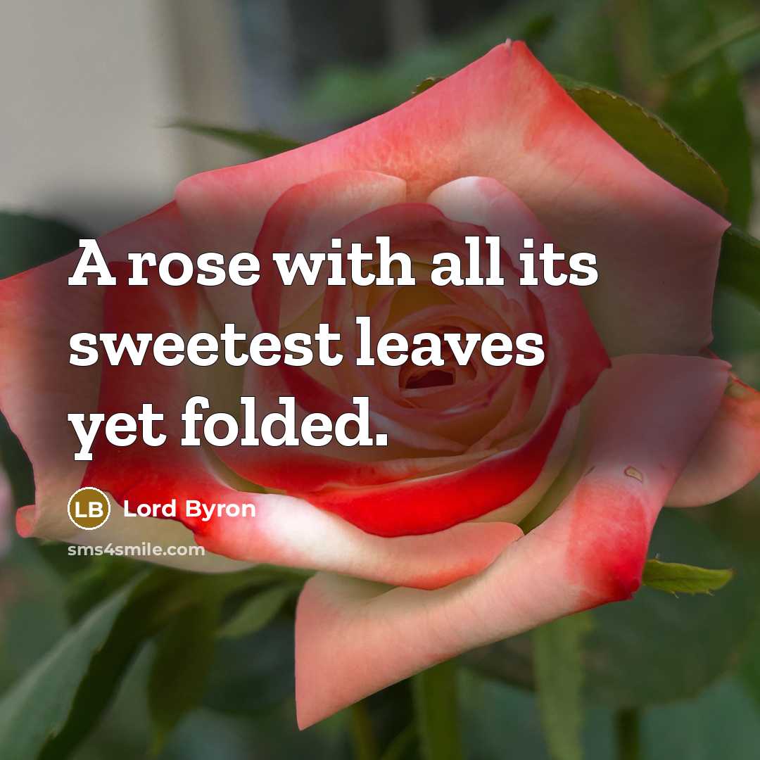 “A rose with all its sweetest leaves yet folded.…” quote by Lord Byron