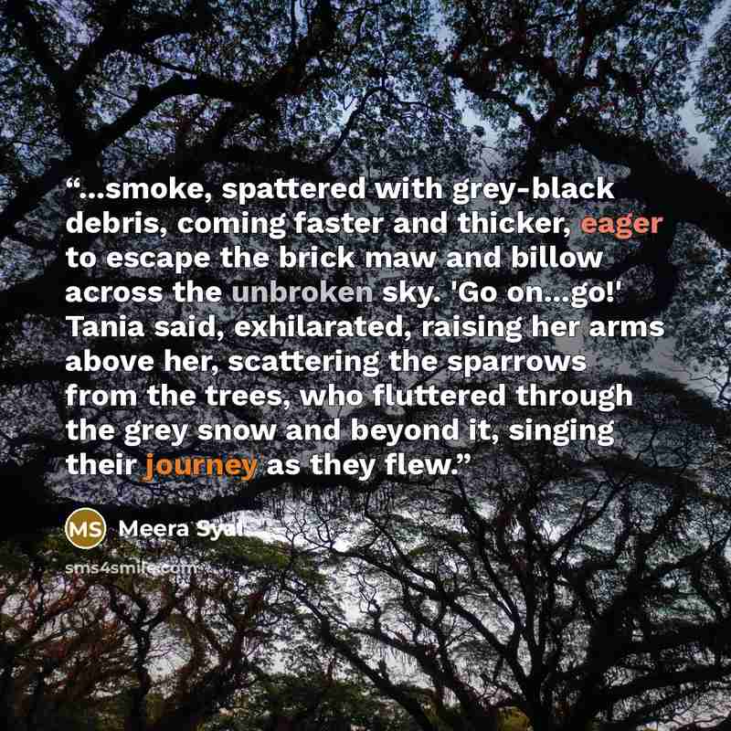 “...smoke, spattered with grey-black debris, coming faster and thicker, eager to escape the brick maw and billow across the unbroken sky. 'Go on...go!' Tania said, exhilarated, raising her arms above her, scattering the sparrows from the trees, who fluttered through the grey snow and beyond it…” quote by Meera Syal