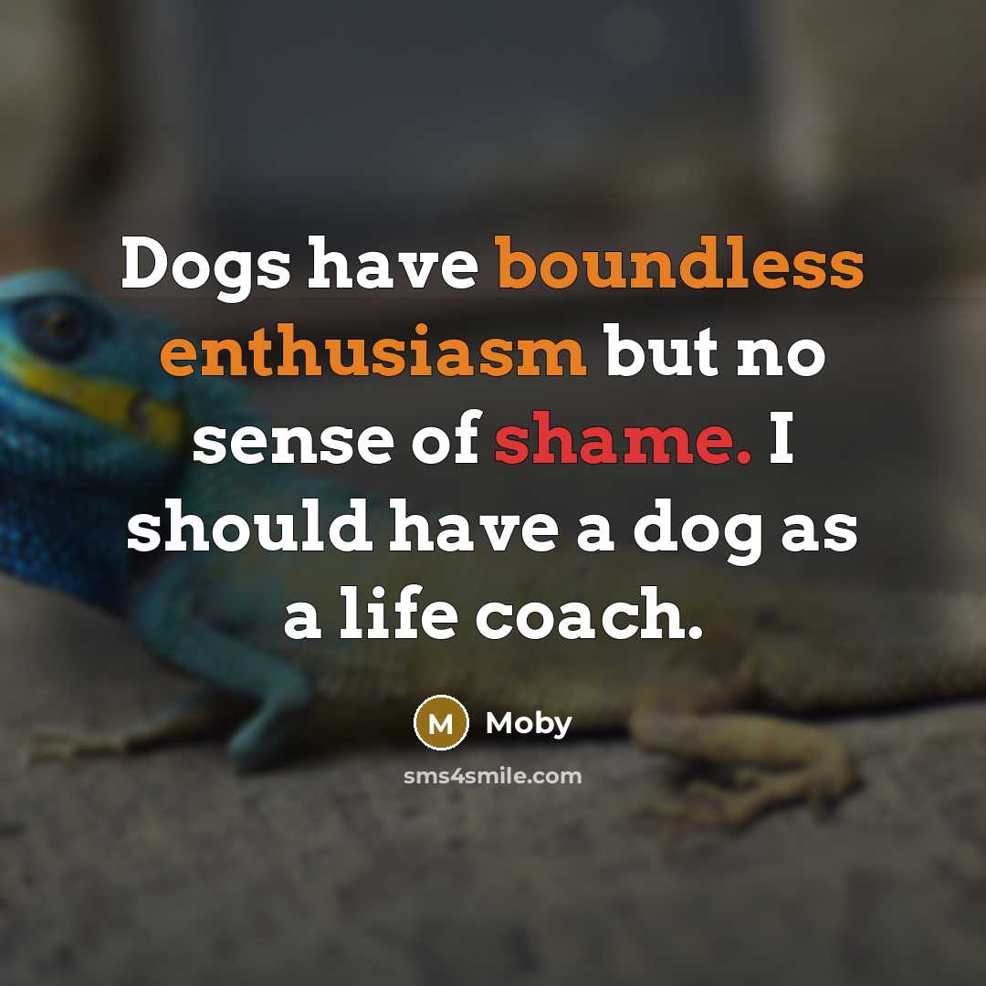 “Dogs have boundless enthusiasm but no sense of shame. I should have a dog as a life coach.” quote by Moby