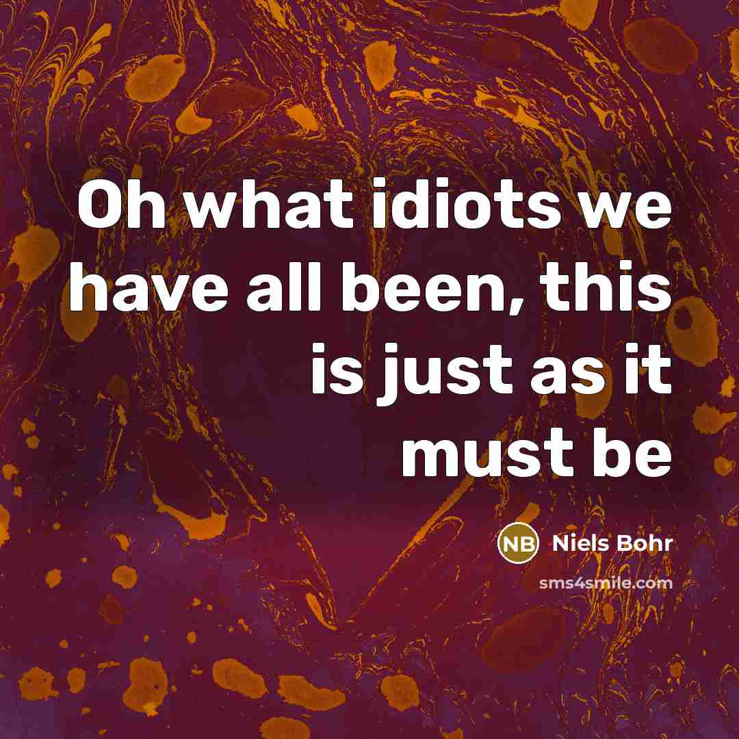 “Oh what idiots we have all been, this is just…” quote by Niels Bohr