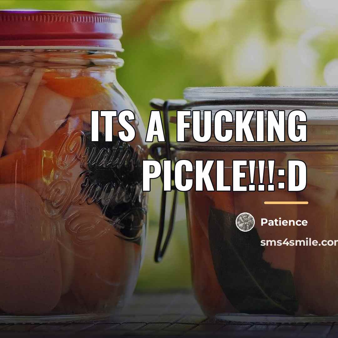 “ITS A FUCKING PICKLE!!!:D…” quote by Patience