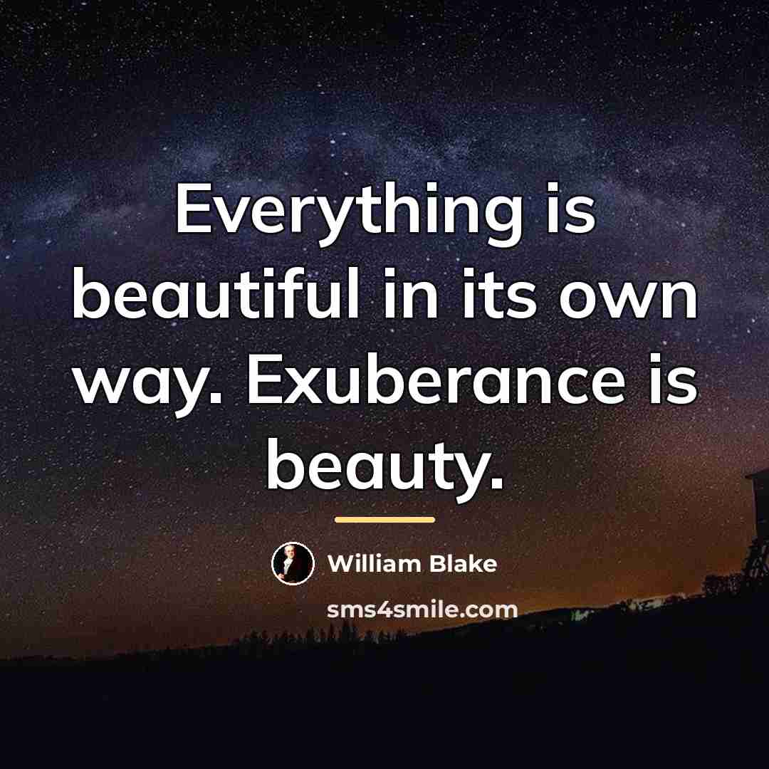 “Everything is beautiful in its own way. Exuberance is beauty.…” quote by William Blake