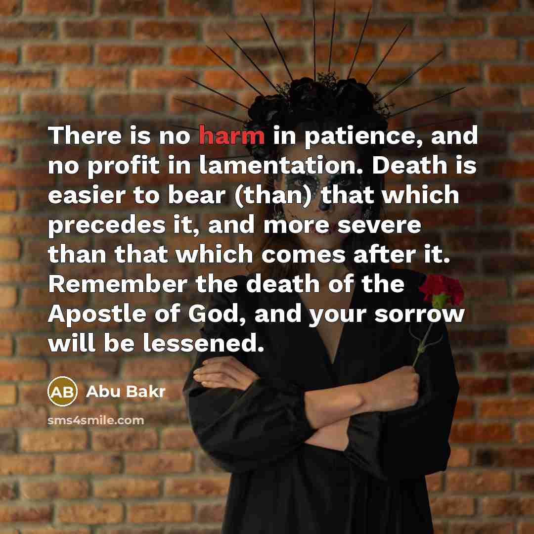 “There is no harm in patience, and no profit in…” quote by Abu Bakr