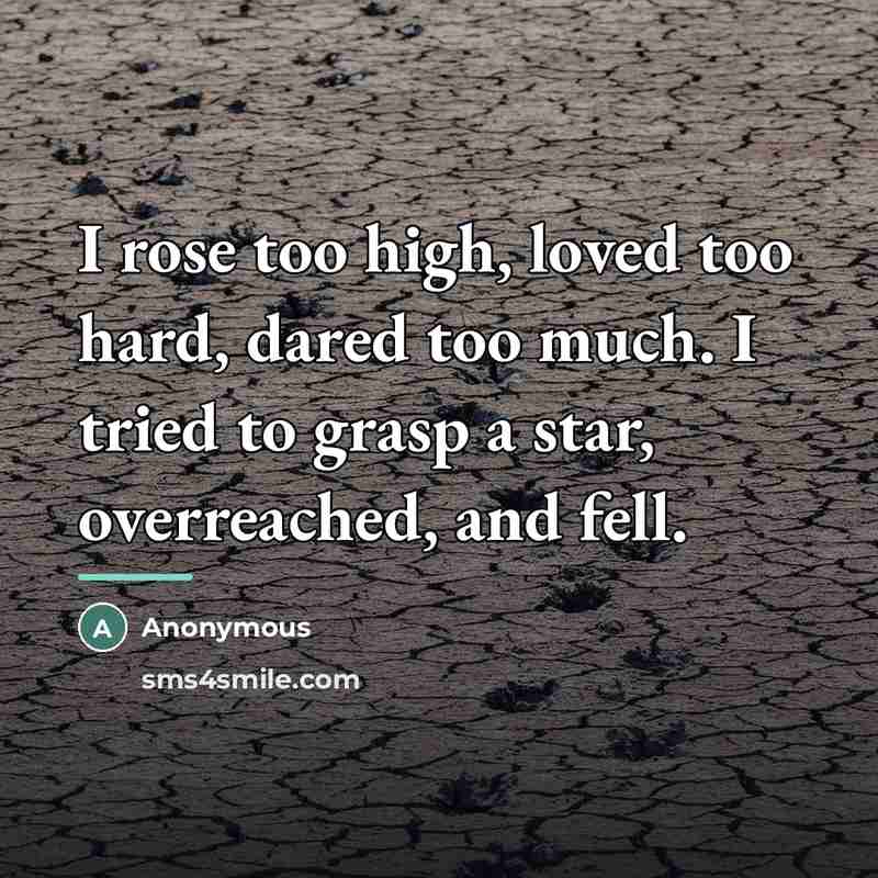“I rose too high, loved too hard, dared too much.…” quote by Anonymous