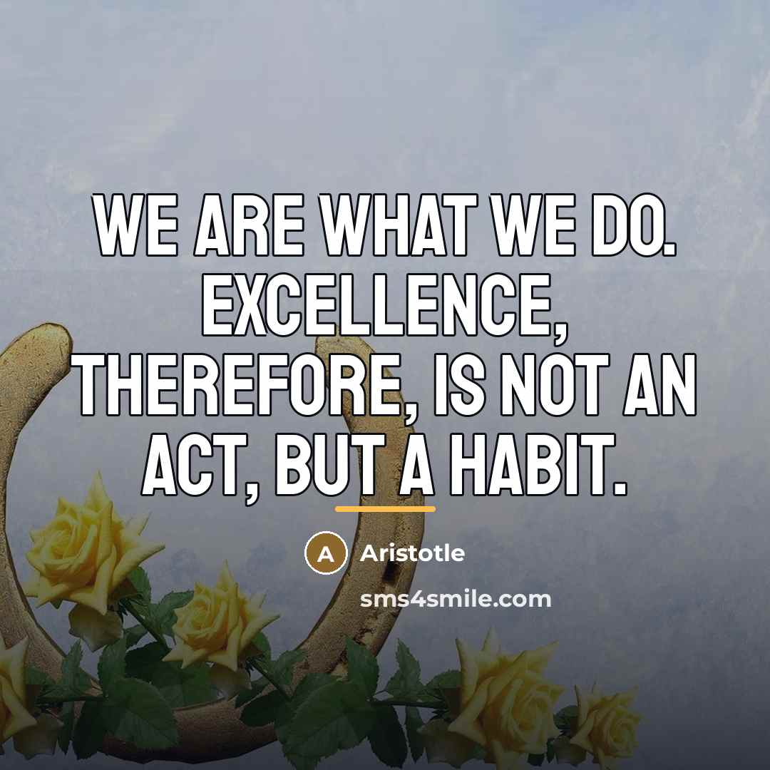 “We are what we do. Excellence, therefore, is not an…” quote by Aristotle