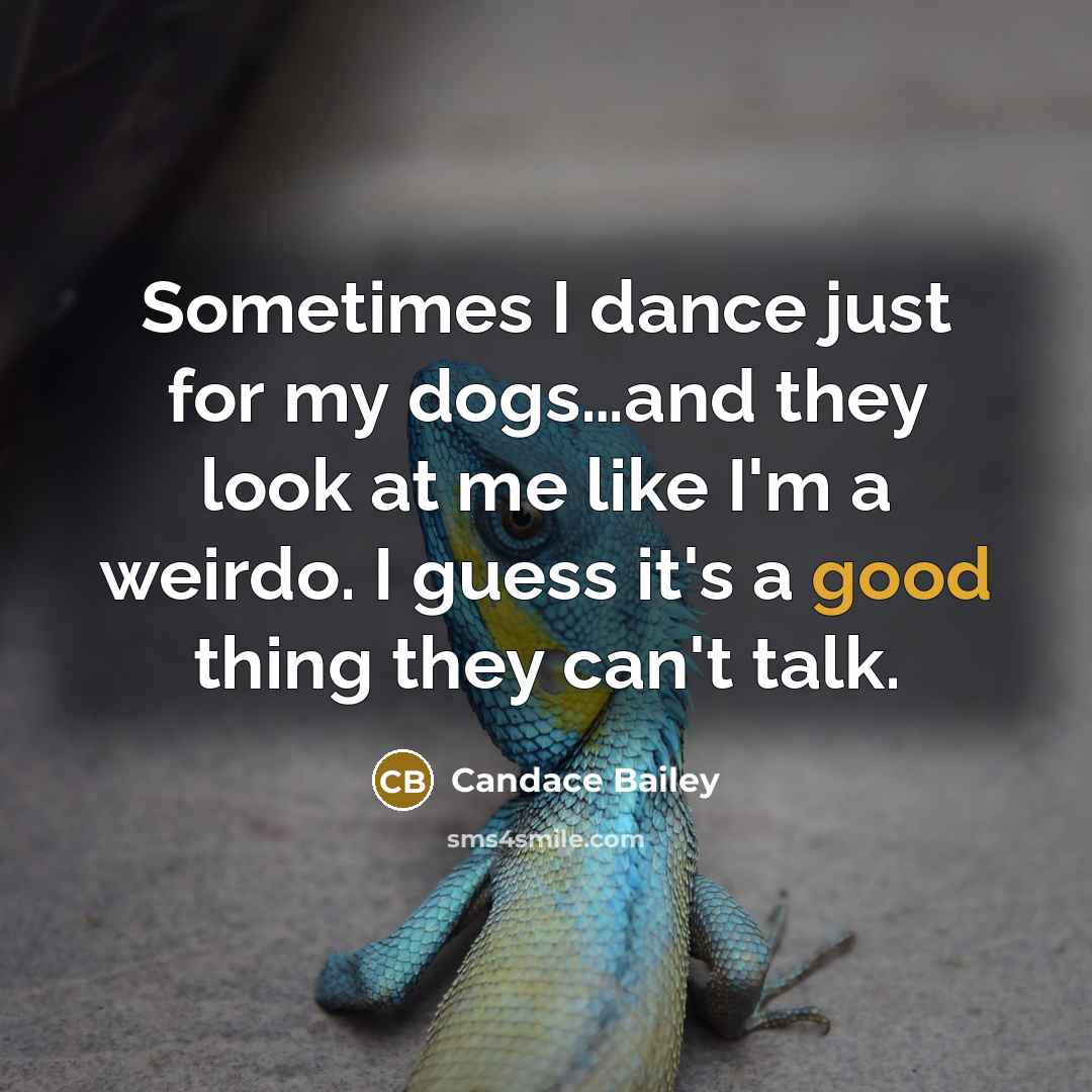 “Sometimes I dance just for my dogs…and they look at me like I'm a weirdo. I guess it's a good thing they can't talk.” quote by Candace Bailey