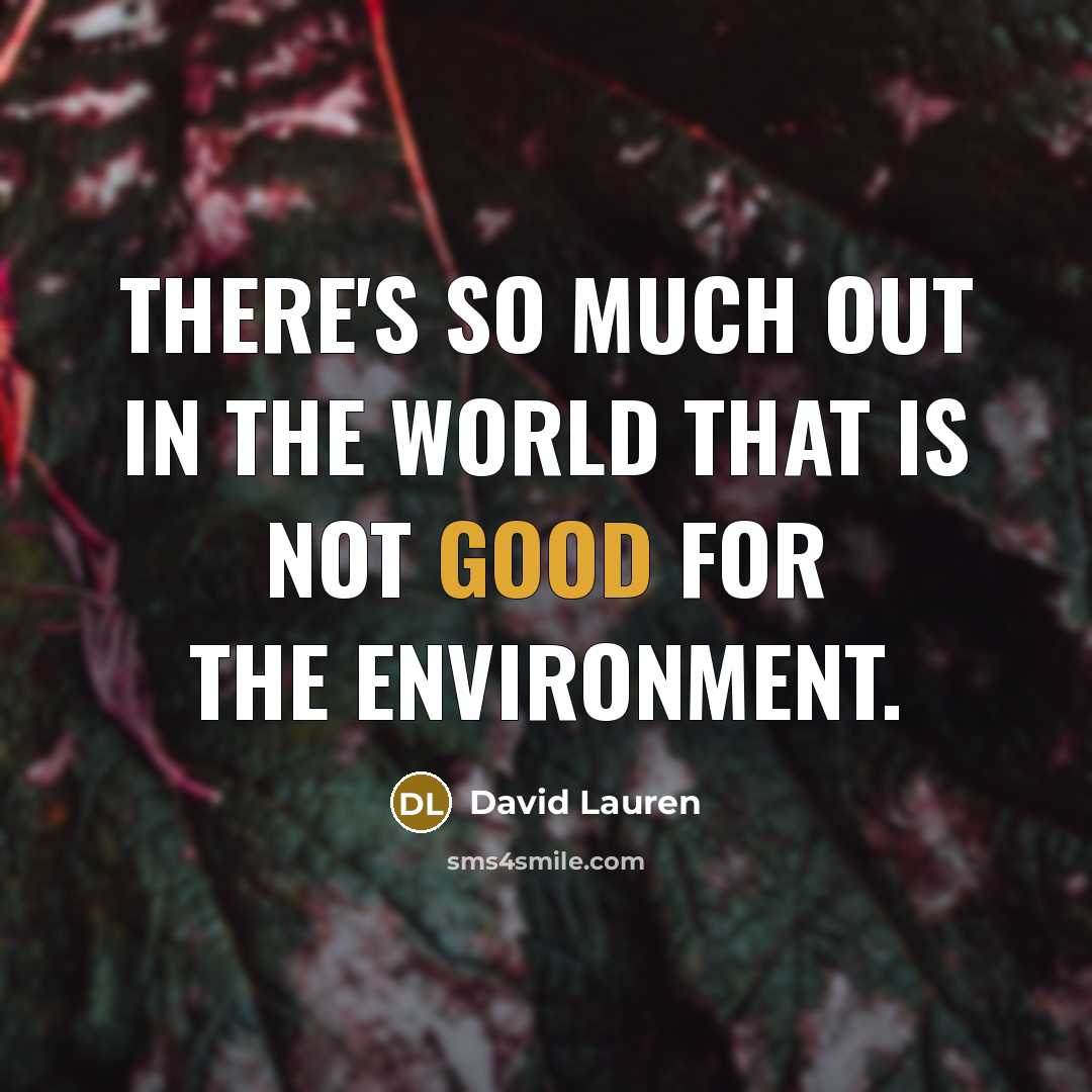 “There's so much out in the world that is not…” quote by David Lauren