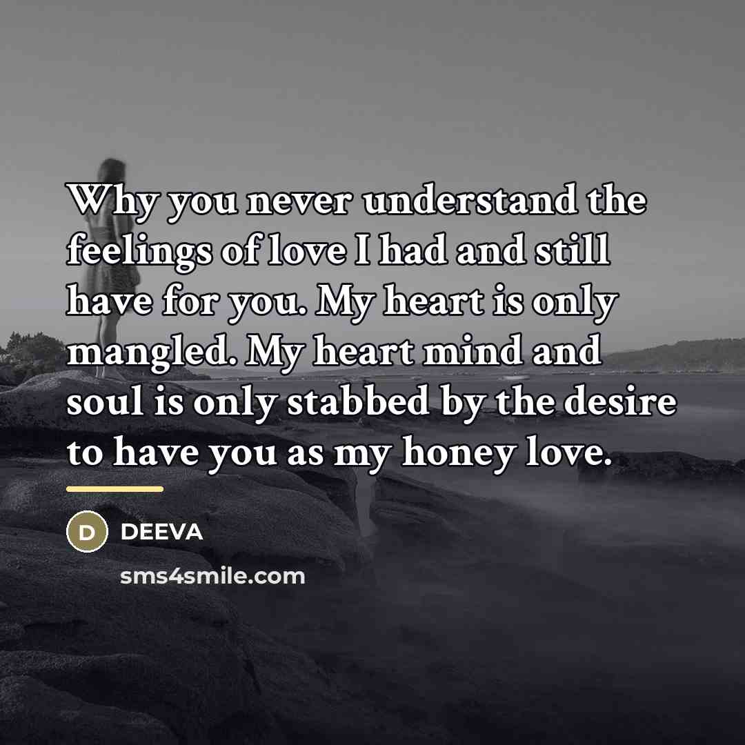 “Why you never understand the feelings of love I had…” quote by DEEVA