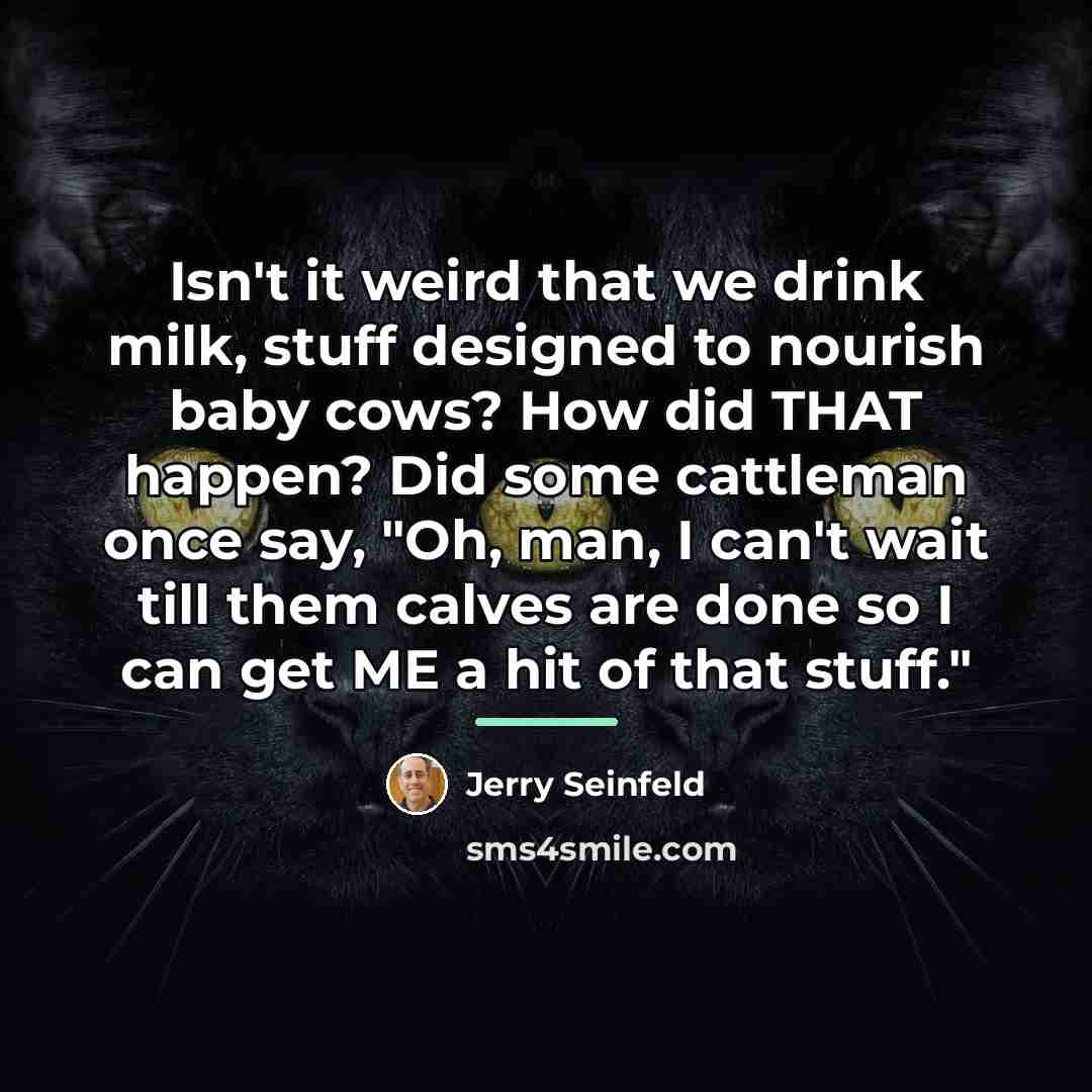 “Isn't it weird that we drink milk, stuff designed to…” quote by Jerry Seinfeld