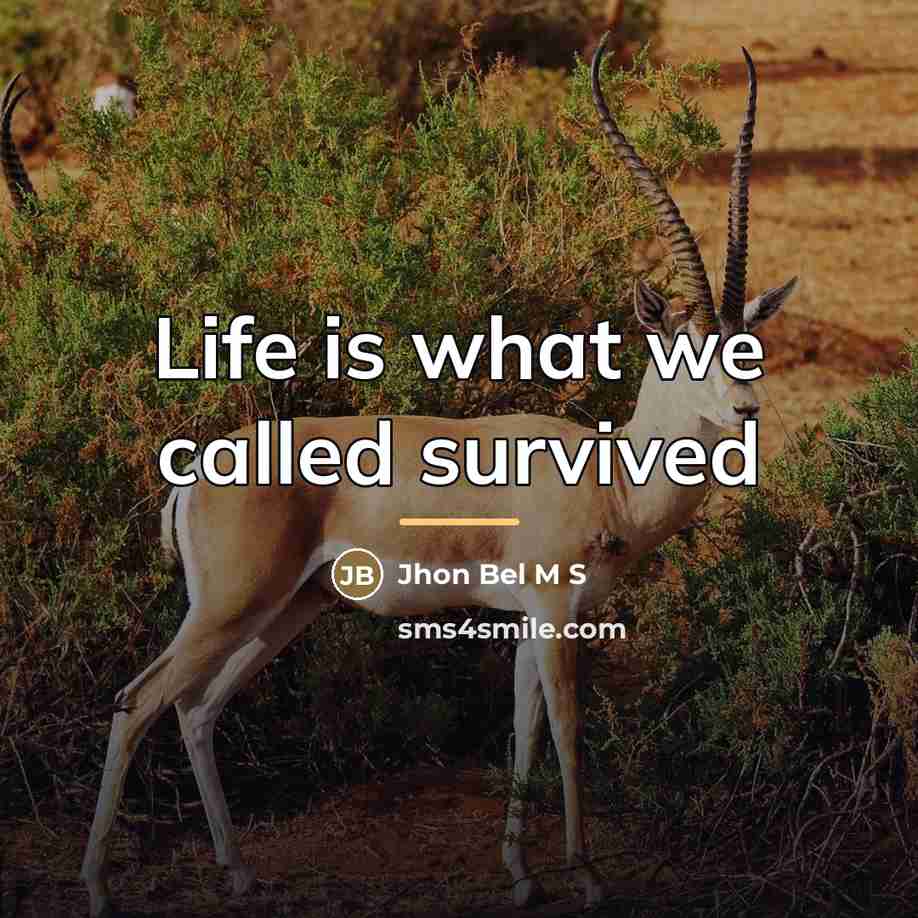 “Life is what we called survived…” quote by Jhon Bel M S