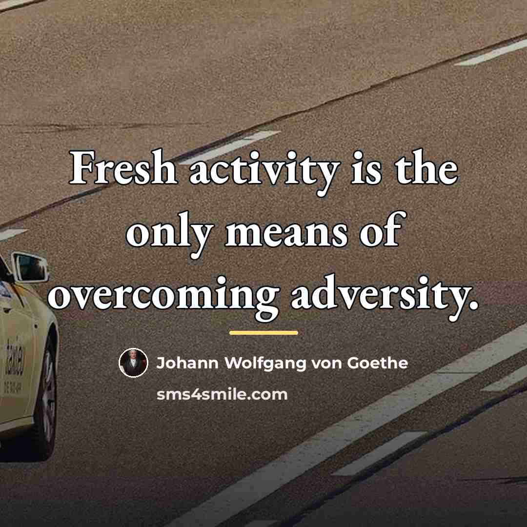 “Fresh activity is the only means of overcoming adversity.…” quote by Johann Wolfgang von Goethe