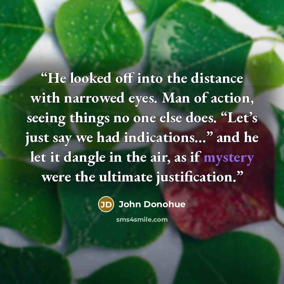 “He looked off into the distance with narrowed eyes. Man of action, seeing things no one else does. “Let’s just say we had indications…” and he let it dangle in the air, as if mystery were the ultimate justification.” quote by John Donohue