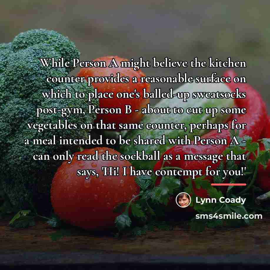 “While Person A might believe the kitchen counter provides a…” quote by Lynn Coady