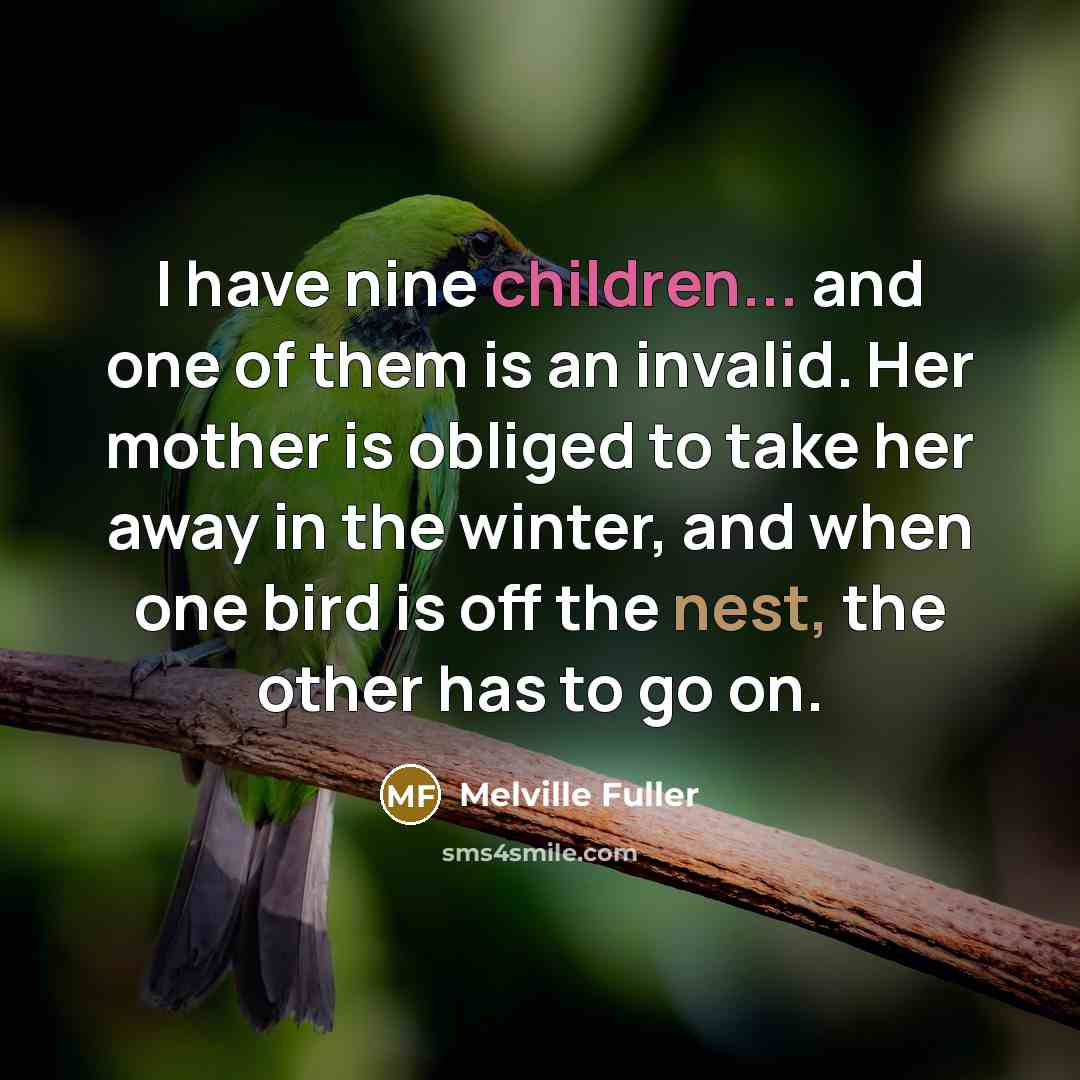 “I have nine children... and one of them is an…” quote by Melville Fuller