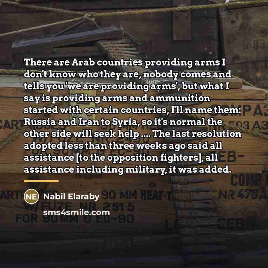 “There are Arab countries providing arms I don't know who…” quote by Nabil Elaraby