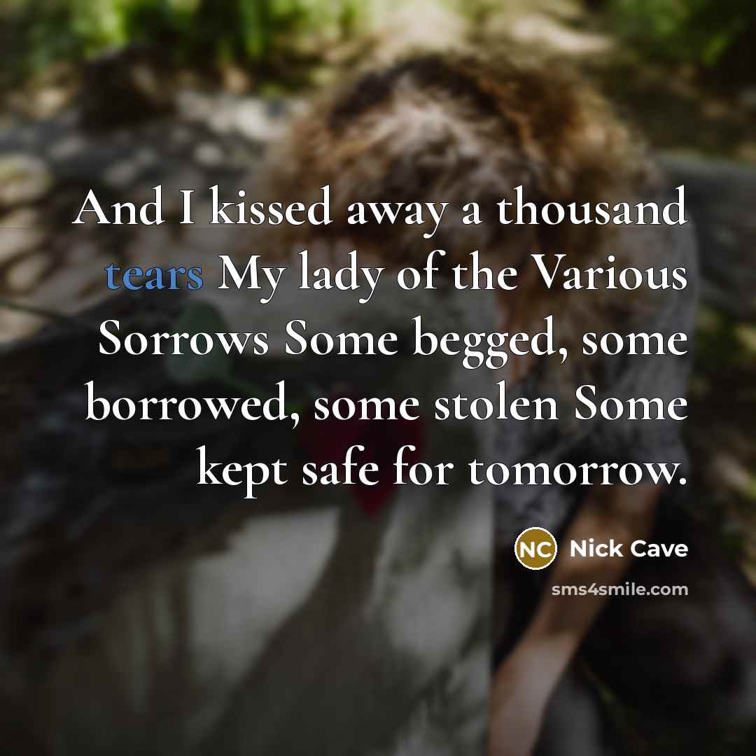 “And I kissed away a thousand tears My lady of…” quote by Nick Cave