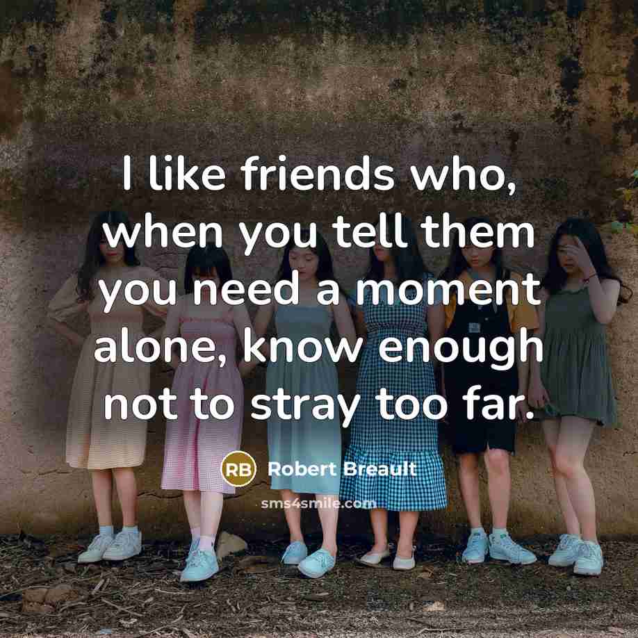 “I like friends who, when you tell them you need…” quote by Robert Breault