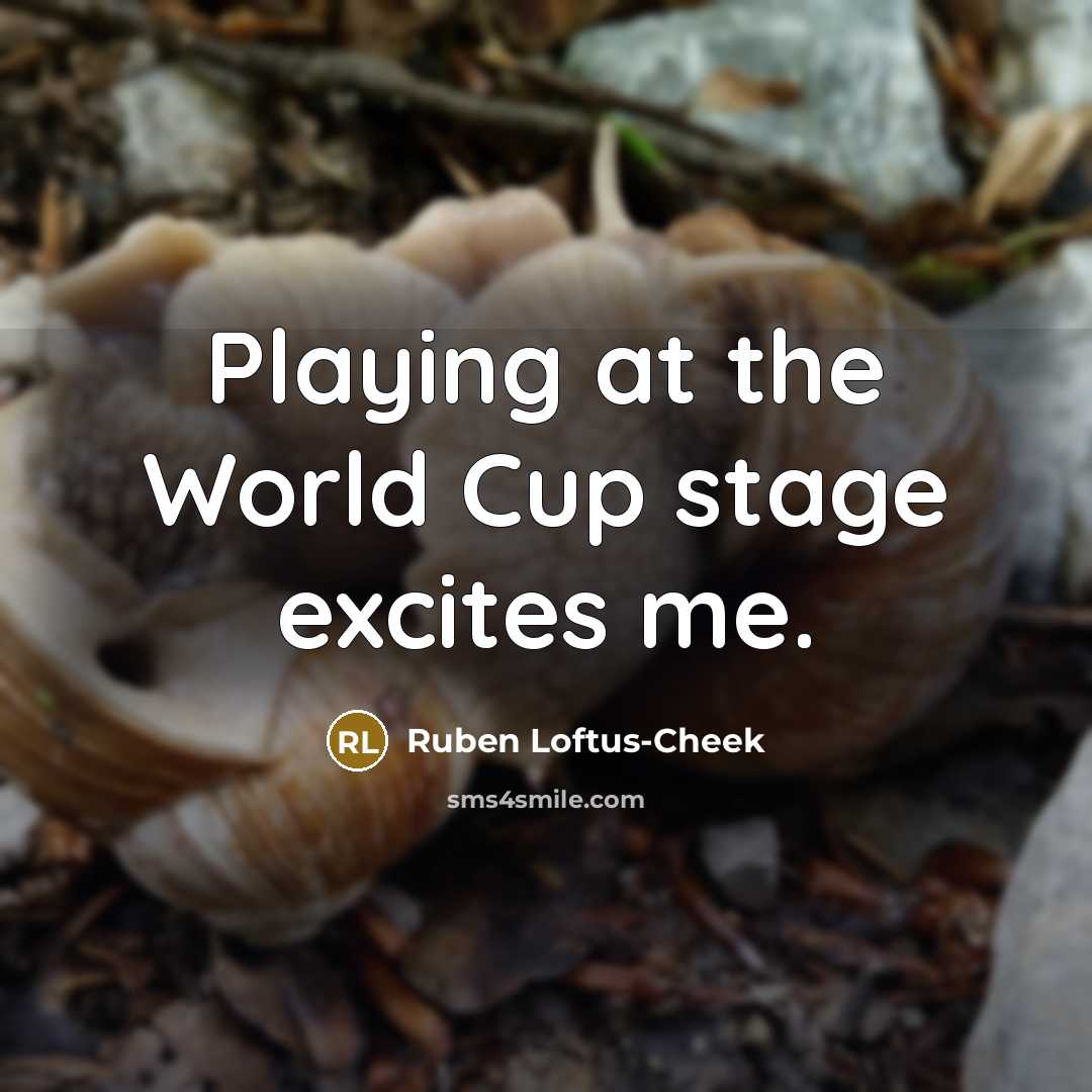 “Playing at the World Cup stage excites me.…” quote by Ruben Loftus-Cheek