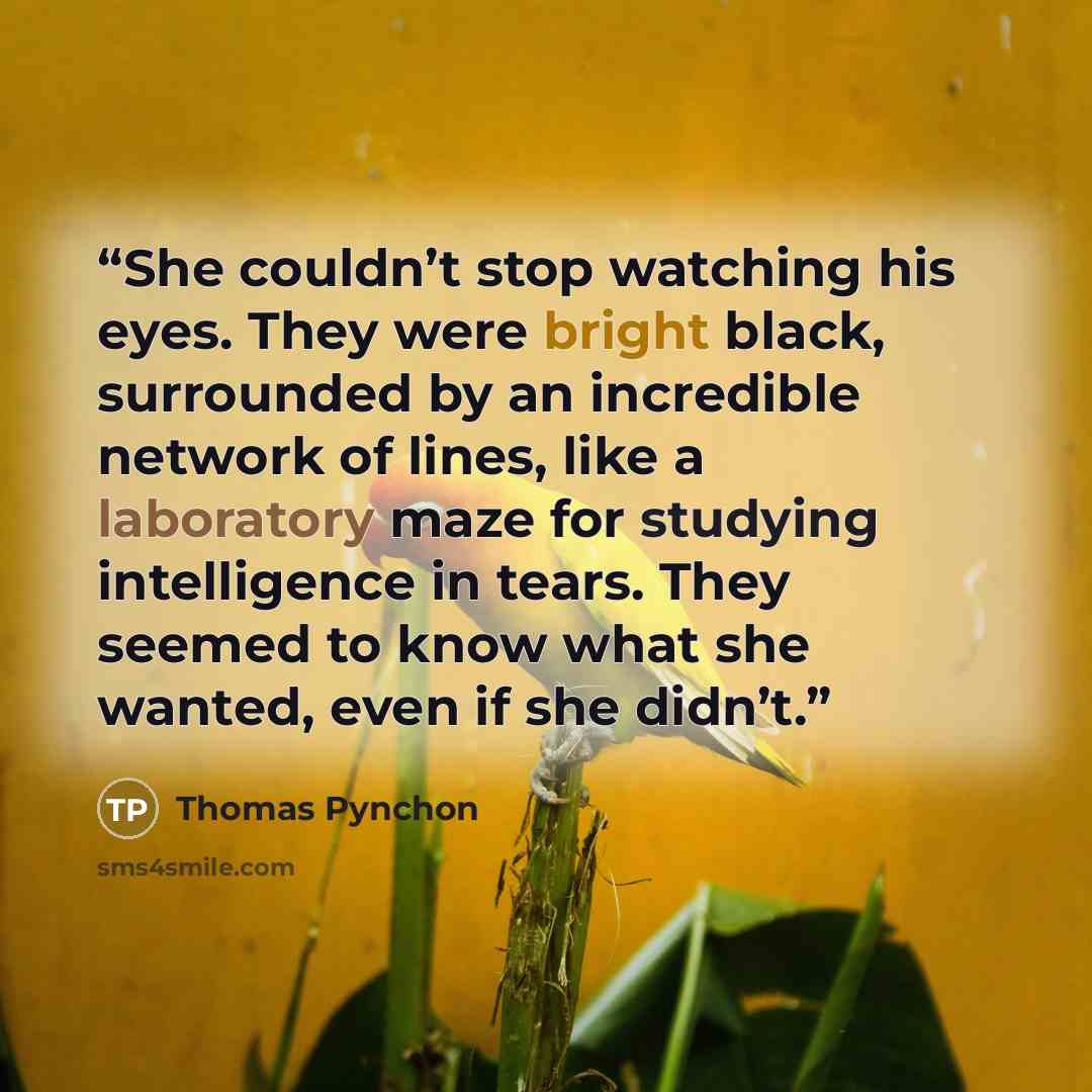 “She couldn’t stop watching his eyes. They were bright black, surrounded by an incredible network of lines, like a laboratory maze for studying intelligence in tears. They seemed to know what she wanted, even if she didn’t.” quote by Thomas Pynchon