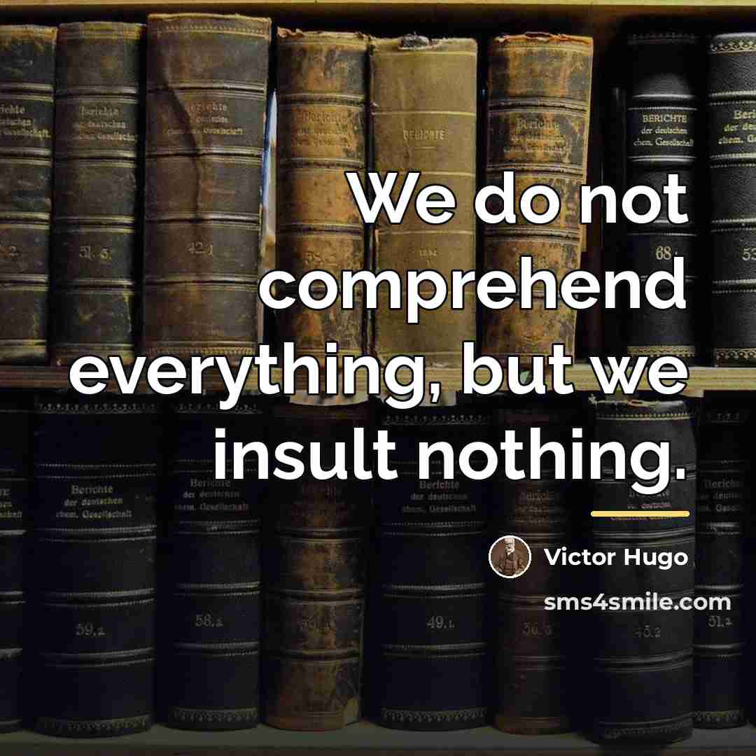 “We do not comprehend everything, but we insult nothing.…” quote by Victor Hugo