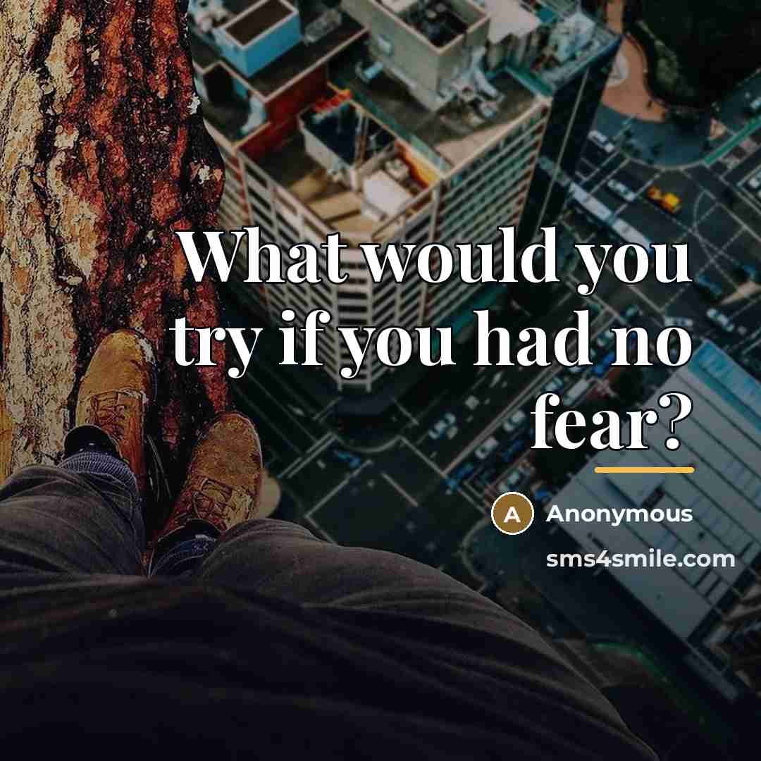 “What would you try if you had no fear?…” quote by Anonymous