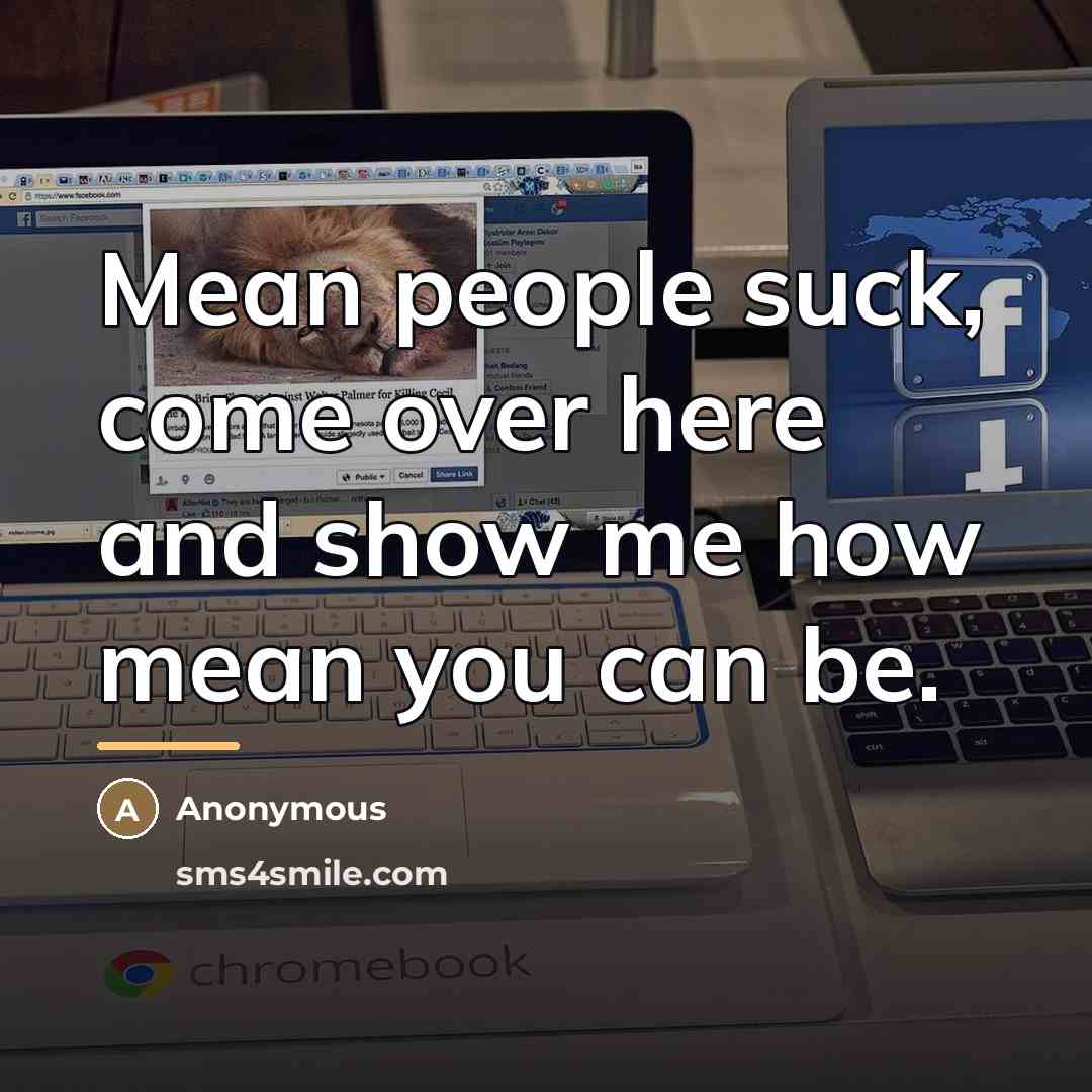 “Mean people suck, come over here and show me how…” quote by Anonymous